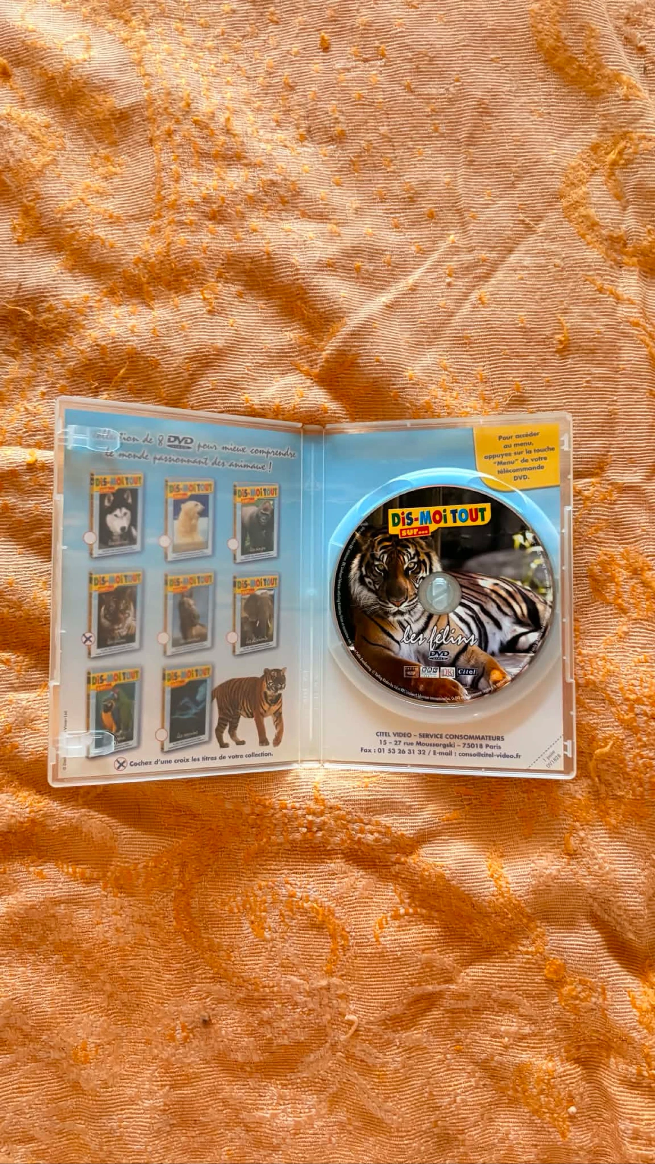 Conte-me tudo sobre os felinos – photo 3